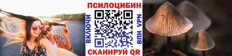 Галлюциногенные грибы ЛСД  купить наркотики цена  Новый Уренгой 